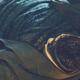 Image for article titled Sleepy Hollow Returns, Immediately Starts War
